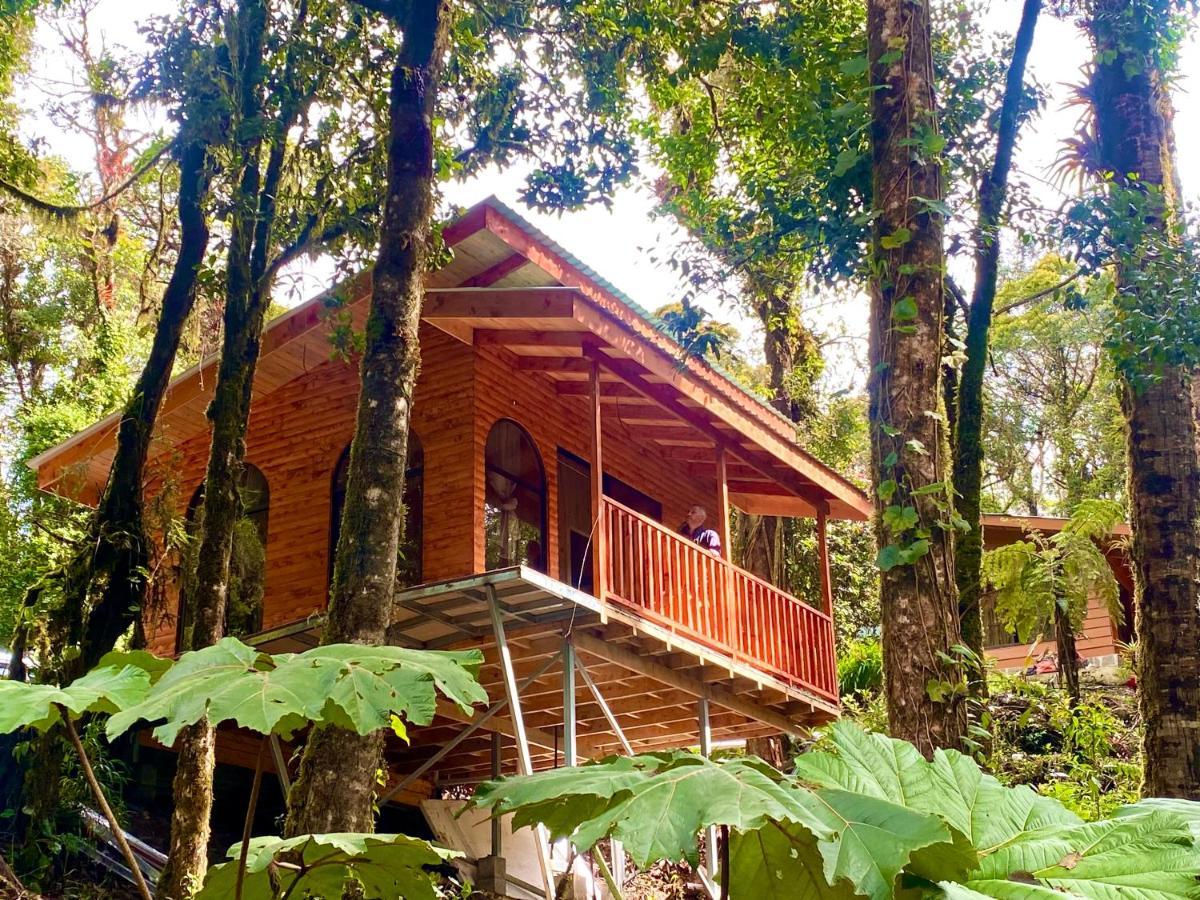 Cabana Anturios San Jose  Exterior photo