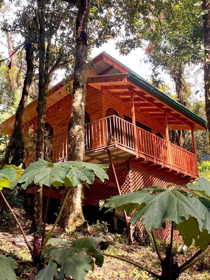 Cabana Anturios San Jose  Exterior photo