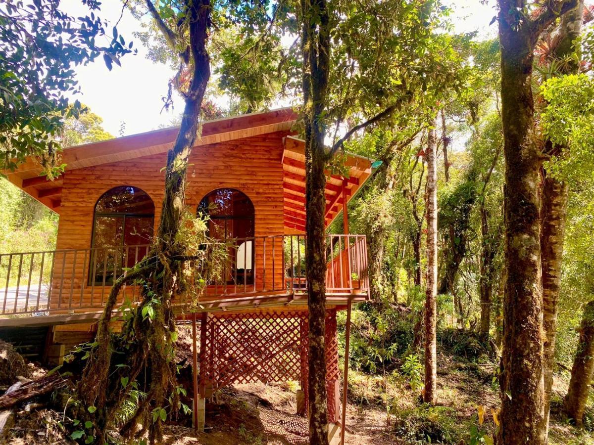 Cabana Anturios San Jose  Exterior photo